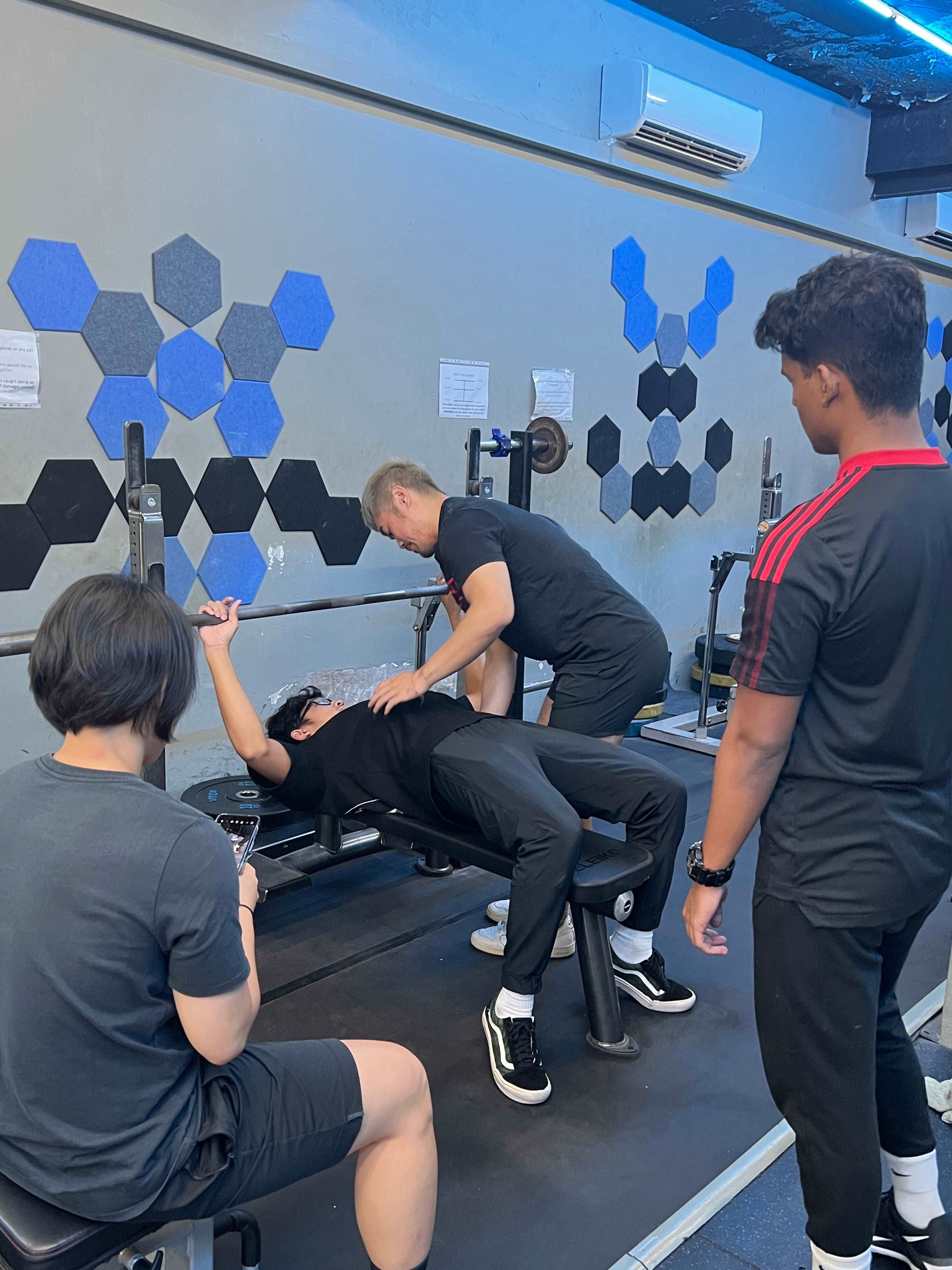 Basic Strength Course